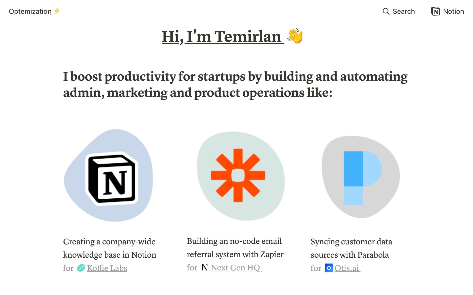 Temirlan runs his agency from a website he built right in Notion.