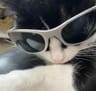 Profile picture of izzy