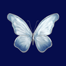 Profile picture of anusha